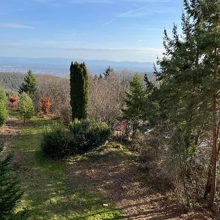 Lägenhet L'ecrin Du Bonheur Turckheim
